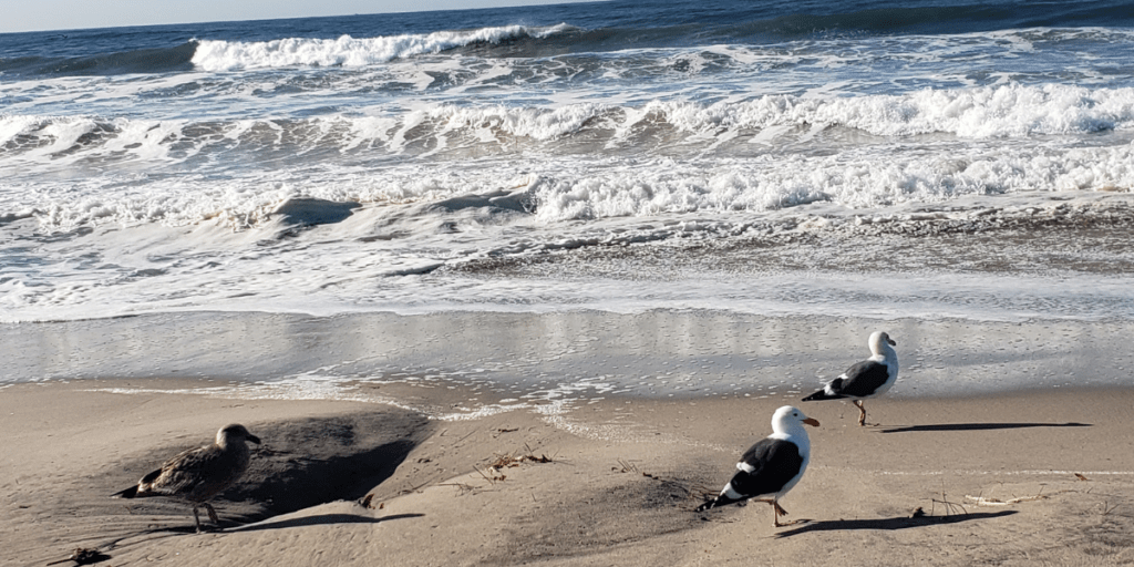 Honeymoon Suites with Jacuzzi in Santa Monica