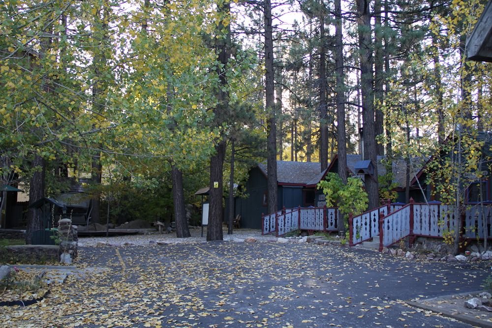 Castle Wood Cottages - A Romantic Haven